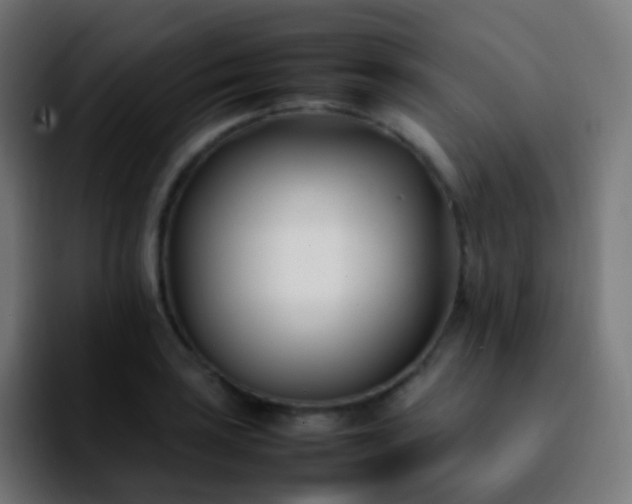 X0000092241035200709211040