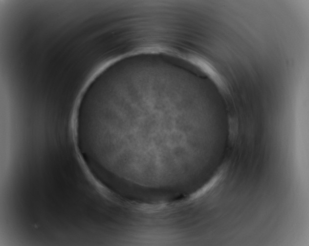 X0000092241046200709211040