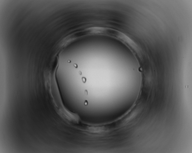 X0000092241049200709211040