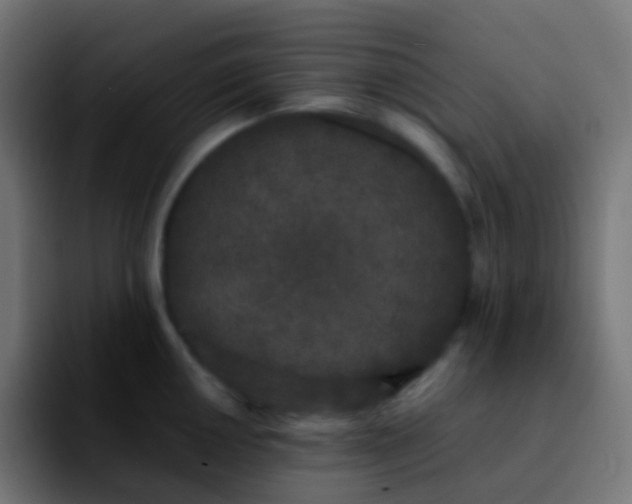 X0000092241050200709211040