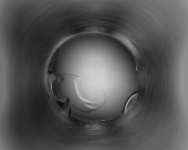 X0000092241051200709211040