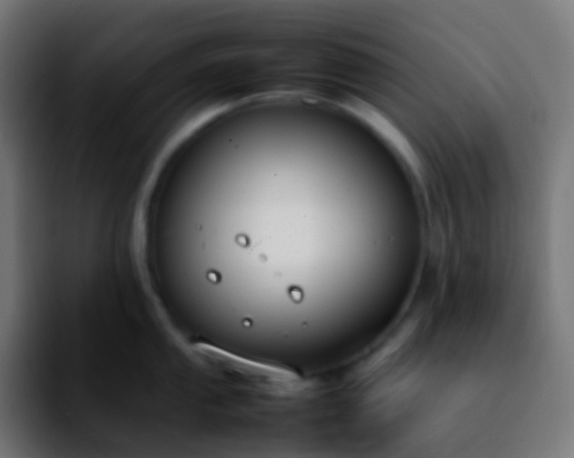 X0000092241053200709211040