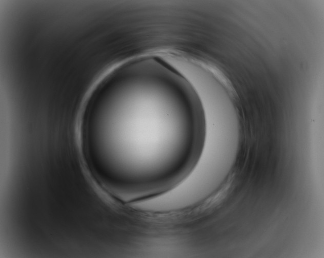 X0000092241054200709211040