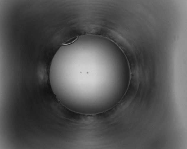 X0000092241058200709211039