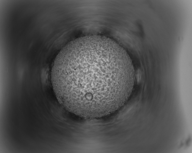 X0000092241059200709211039