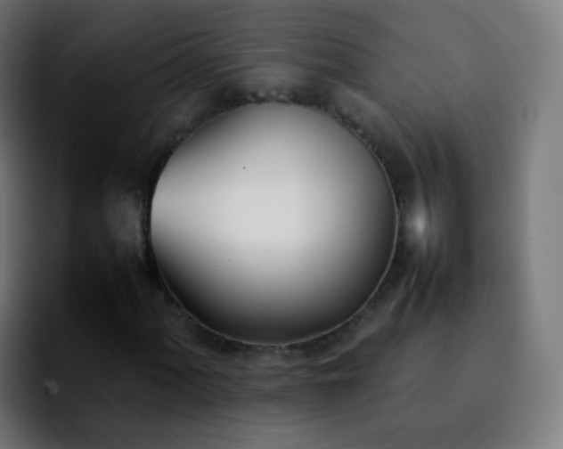 X0000092241060200709211039