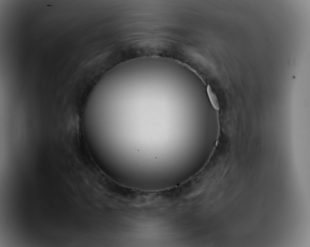 X0000092241061200709211039