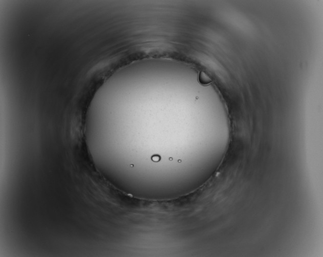 X0000092241063200709211039