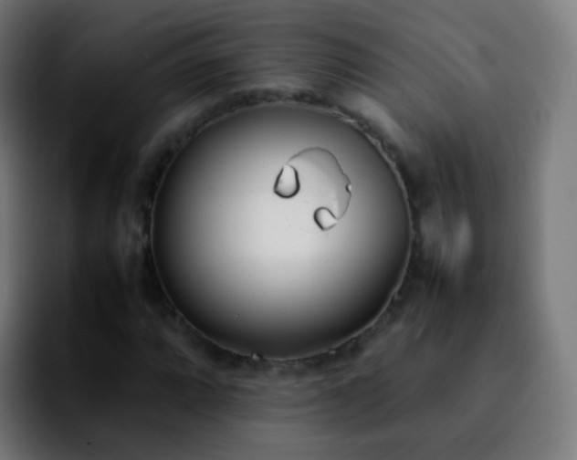 X0000092241064200709211039