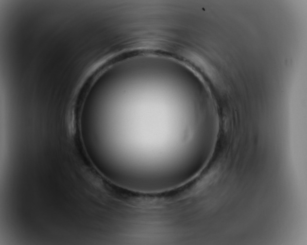 X0000092241069200709211039