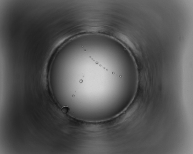 X0000092241071200709211039