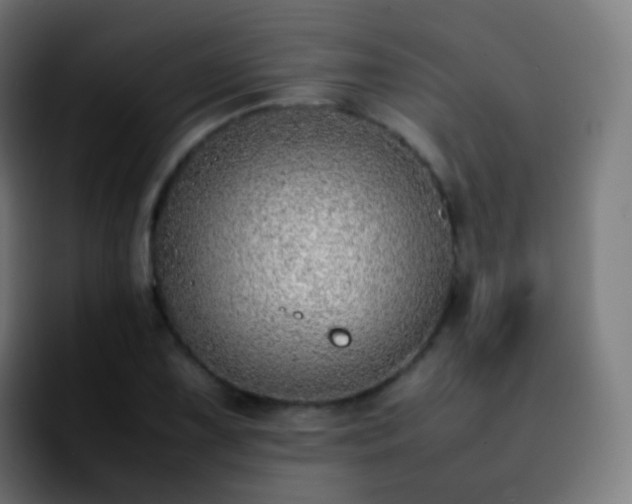 X0000092241075200709211039