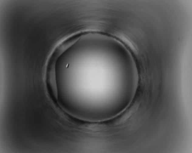 X0000092241077200709211039