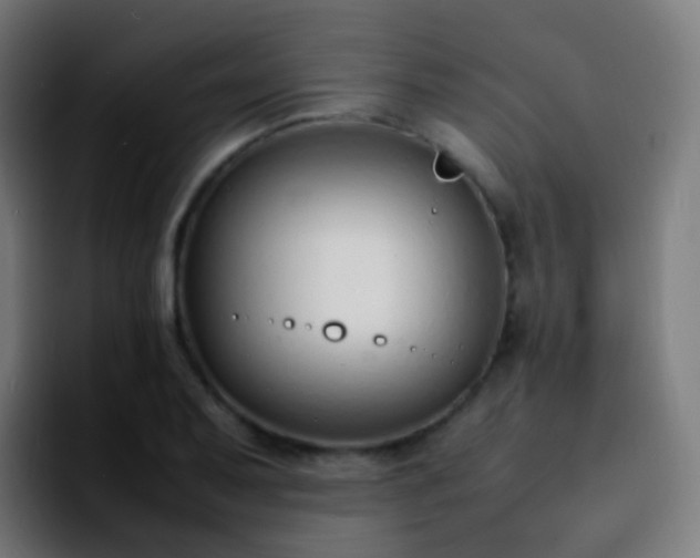 X0000092241079200709211039