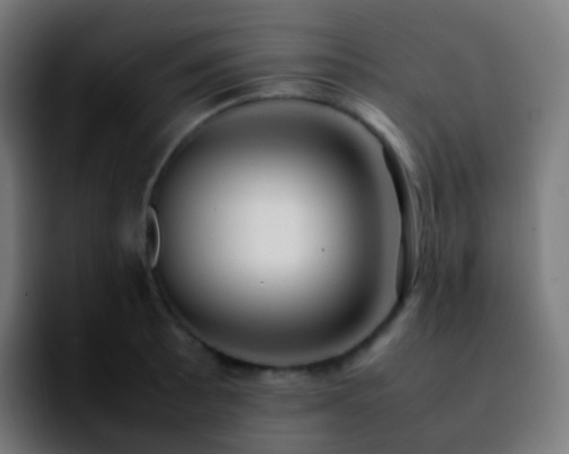 X0000092241089200709211039