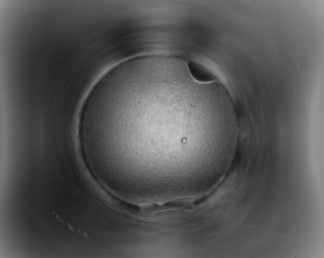 X0000092241091200709211039