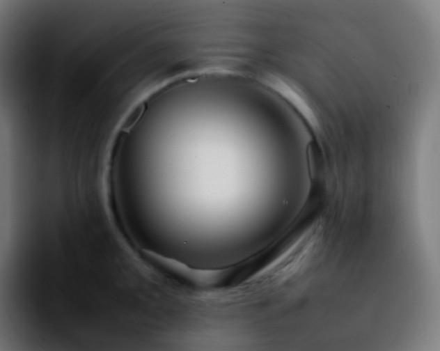 X0000092241093200709211039