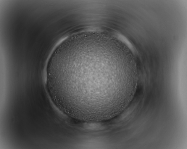 X0000092241095200709211039