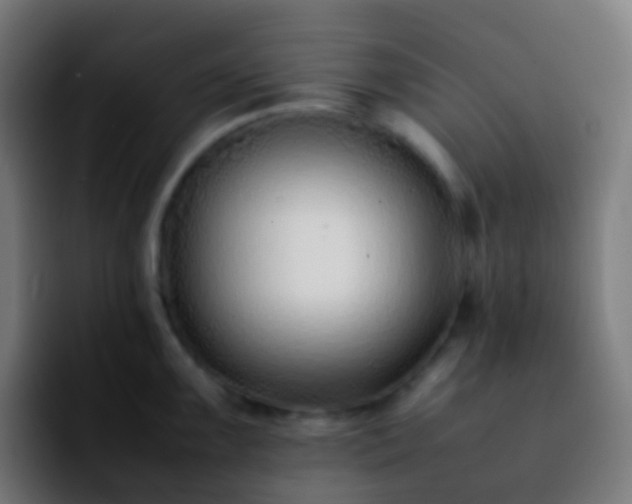 X0000092241099200709211039