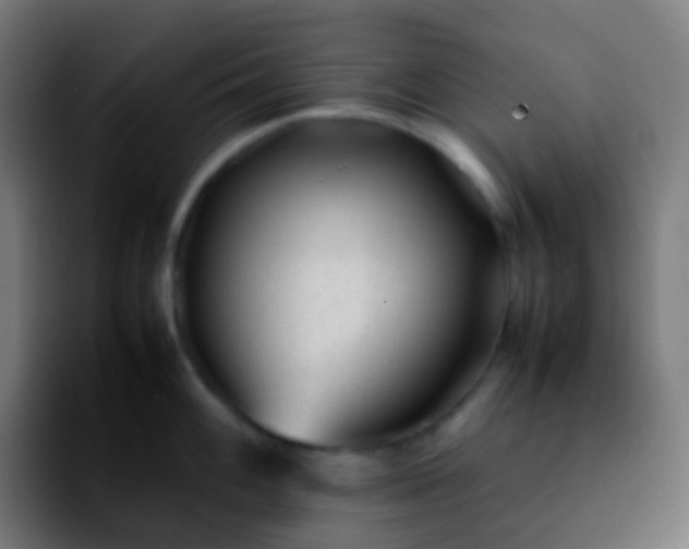 X0000092241100200709211039