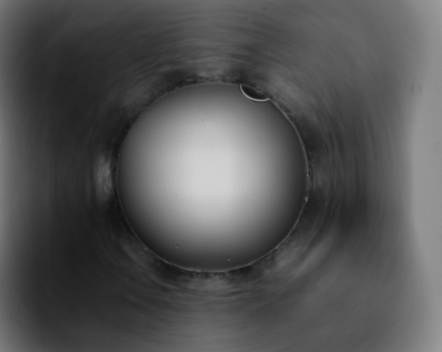 X0000092241106200709211038