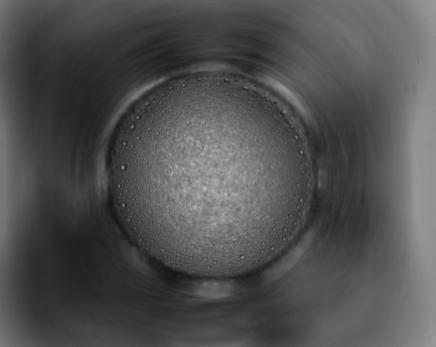X0000092241117200709211038