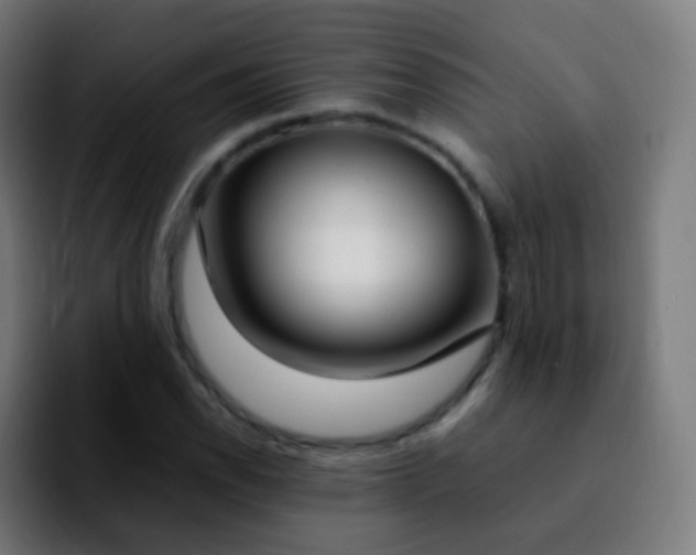 X0000092241118200709211038