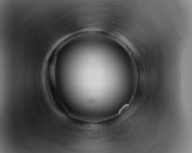 X0000092241124200709211038