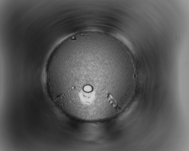 X0000092241125200709211038