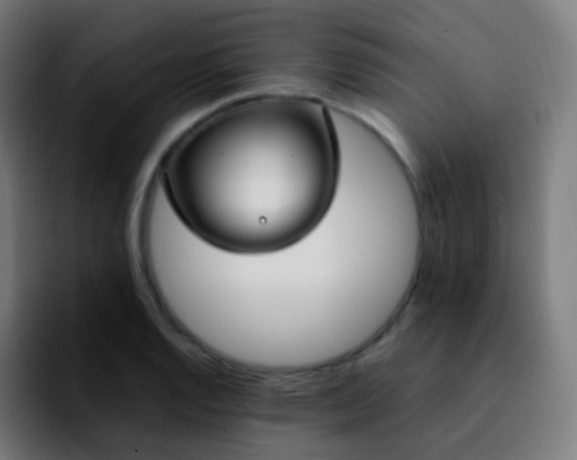 X0000092241128200709211039