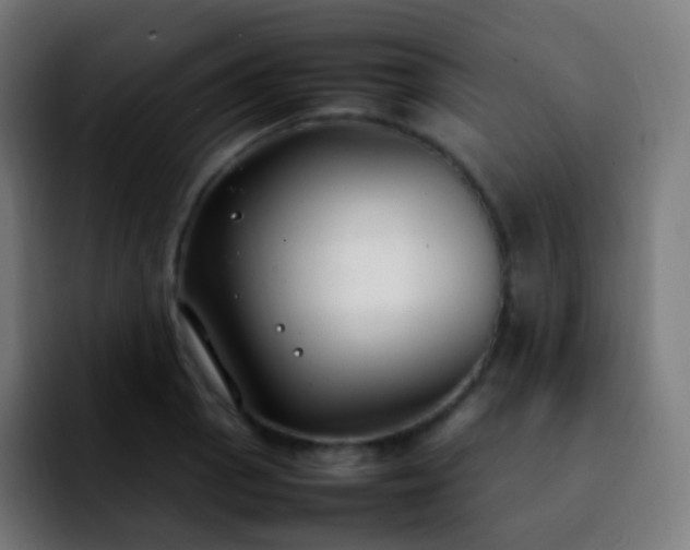 X0000092241129200709211039