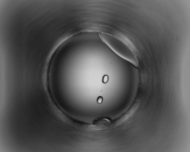 X0000092241138200709211039