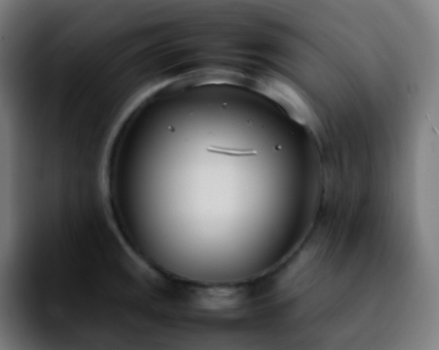 X0000092241141200709211039