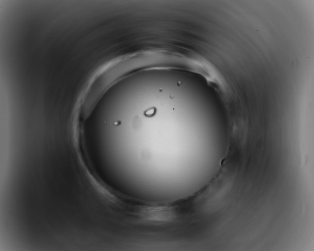 X0000092241143200709211039