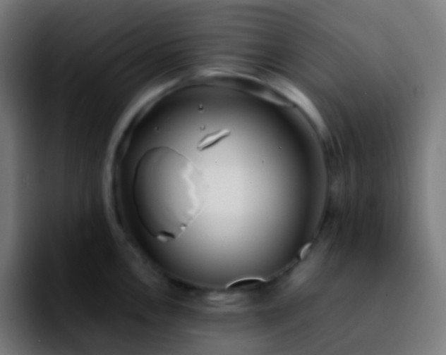 X0000092241146200709211039