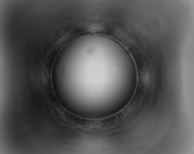 X0000092241158200709211038