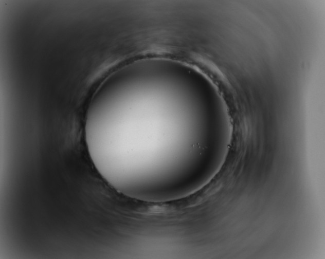 X0000092241160200709211038