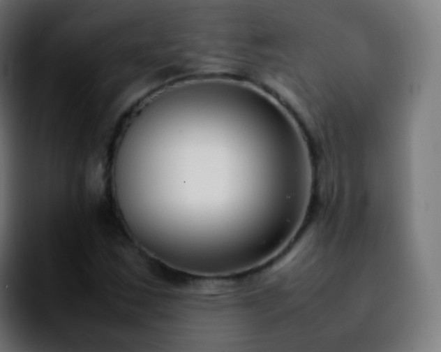 X0000092241163200709211038