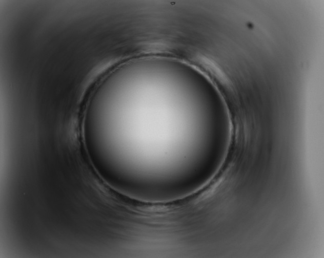 X0000092241164200709211038