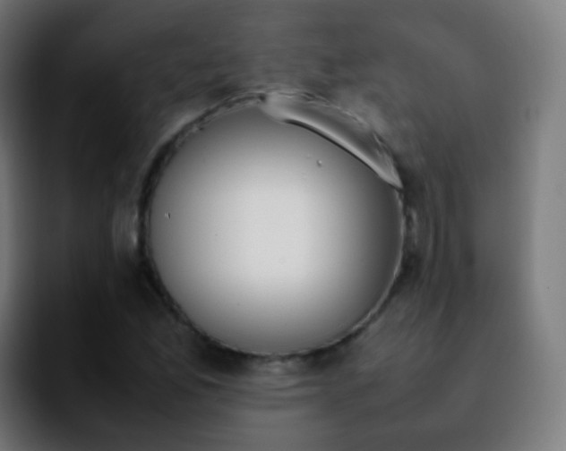 X0000092241165200709211038