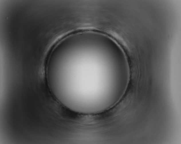 X0000092241167200709211038