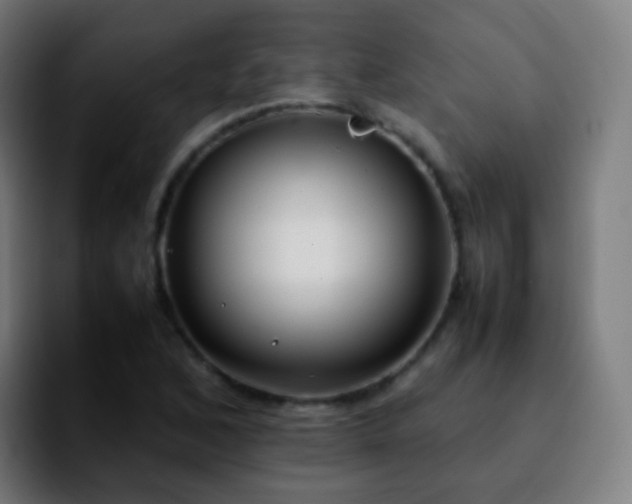 X0000092241168200709211038