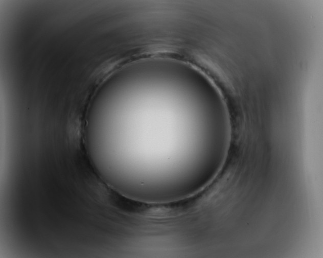 X0000092241169200709211038