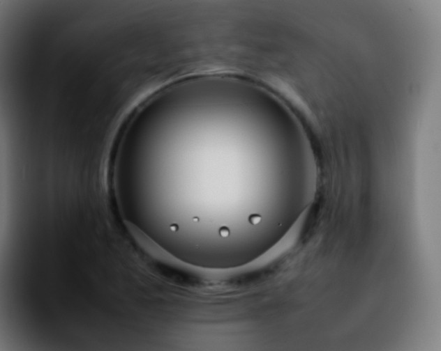 X0000092241173200709211038
