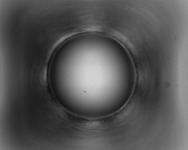 X0000092241174200709211038