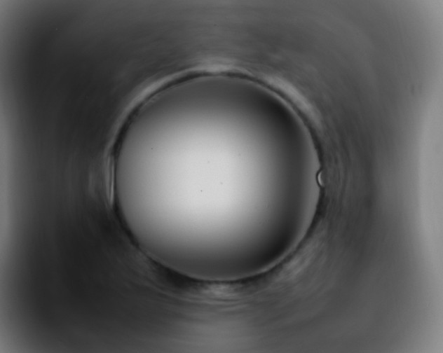 X0000092241175200709211038