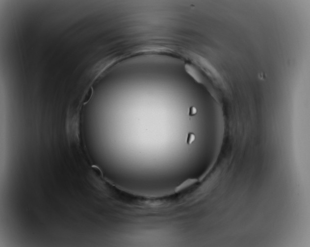 X0000092241177200709211038
