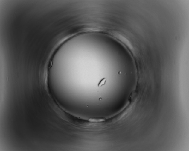 X0000092241179200709211038