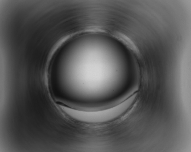 X0000092241188200709211038