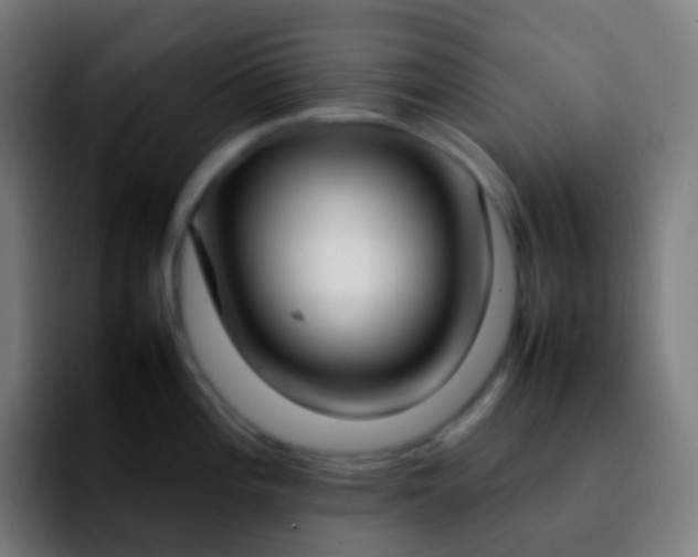 X0000092241196200709211038